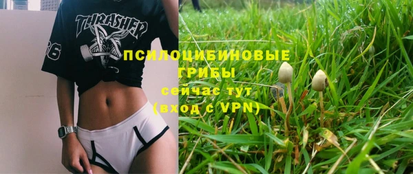 гидропоника Абдулино